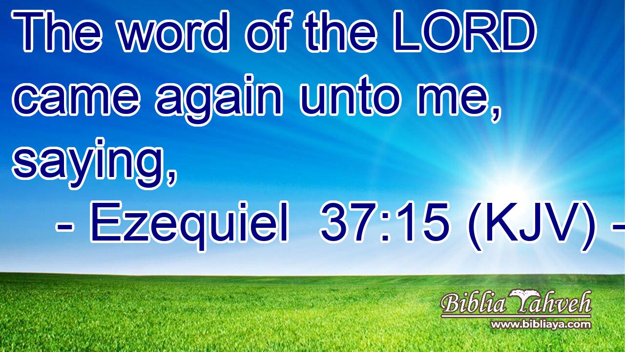 The word of the LORD came again unto me, saying,