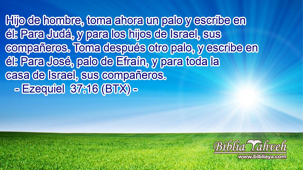 Hijo de hombre, toma ahora un palo y escribe en él: Para Judá, y para los hijos de Israel, sus compañeros. Toma después otro palo, y escribe en él: Para José, palo de Efraín, y para toda la casa de Israel, sus compañeros.