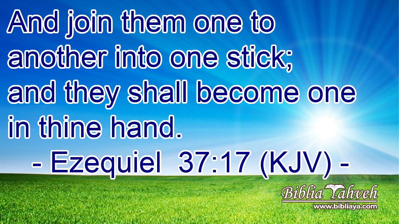 And join them one to another into one stick; and they shall become one in thine hand.