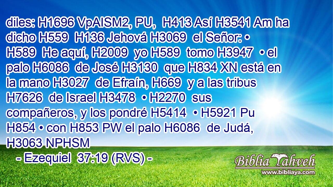 diles: H1696 VpAISM2, PU,  H413 Así H3541 Am ha dicho H559  H136 Jehová H3069  el Señor: • H589  He aquí, H2009  yo H589  tomo H3947  • el palo H6086  de José H3130  que H834 XN está en la mano H3027  de Efraín, H669  y a las tribus H7626  de Israel H3478  • H2270  sus compañeros, y los pondré H5414  • H5921 Pu H854 • con H853 PW el palo H6086  de Judá, H3063 NPHSM