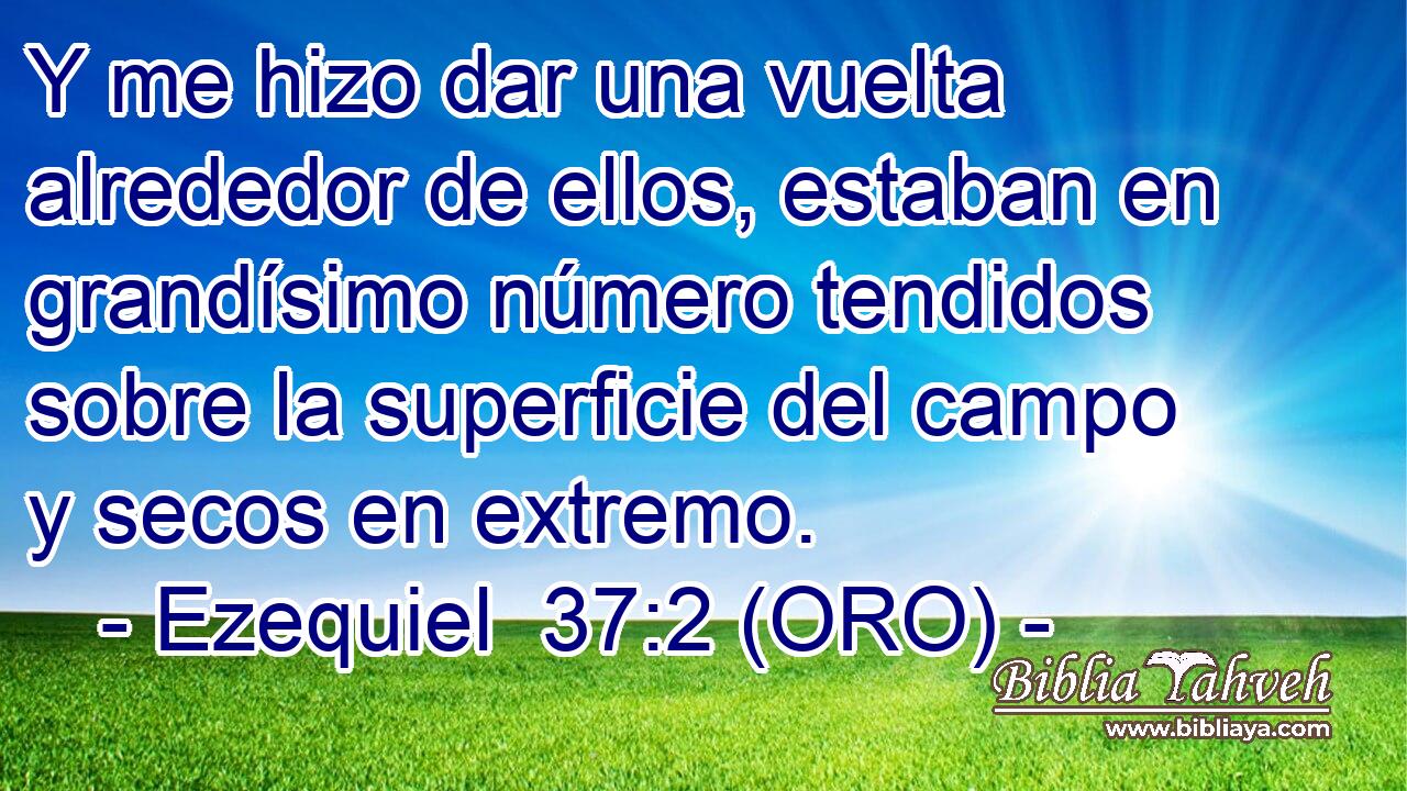  Y me hizo dar una vuelta alrededor de ellos, estaban en grandísimo número tendidos sobre la superficie del campo y secos en extremo. 
