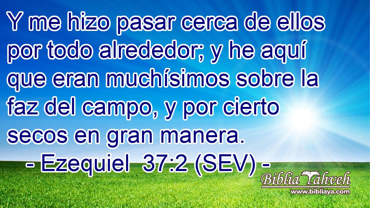 Y me hizo pasar cerca de ellos por todo alrededor; y he aquí que eran muchísimos sobre la faz del campo, y por cierto secos en gran manera.