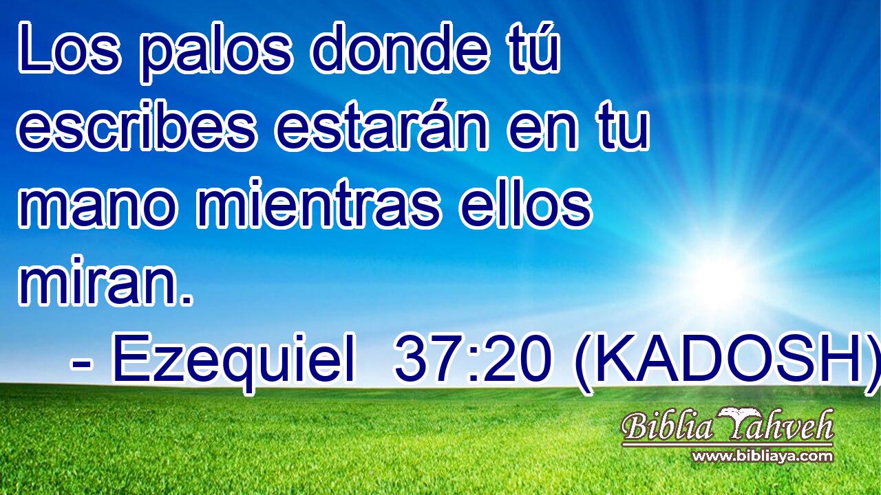  Los palos donde tú escribes estarán en tu mano mientras ellos miran. 
