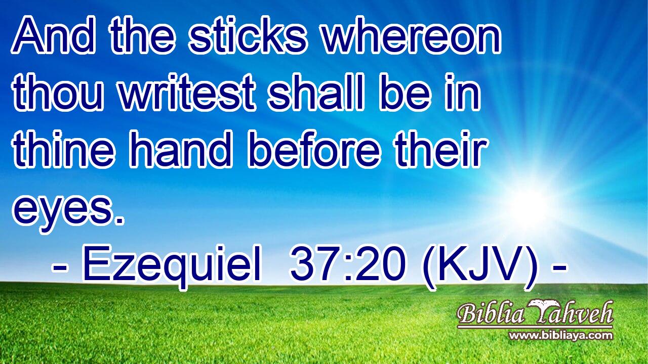 And the sticks whereon thou writest shall be in thine hand before their eyes.