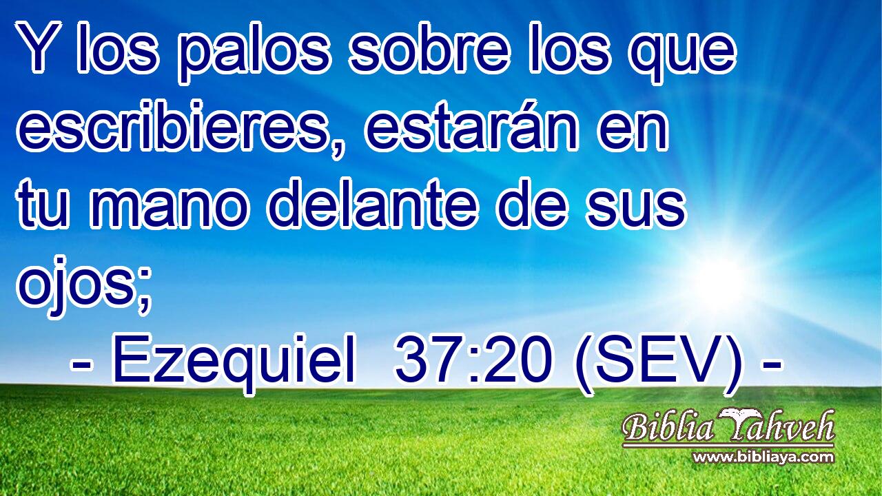 Y los palos sobre los que escribieres, estarán en tu mano delante de sus ojos;