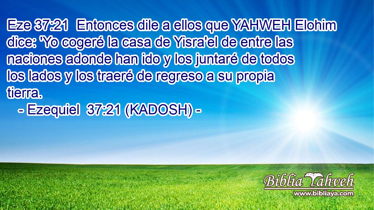  Entonces dile a ellos que YAHWEH Elohim dice: 'Yo cogeré la casa de Yisra'el de entre las naciones adonde han ido y los juntaré de todos los lados y los traeré de regreso a su propia tierra. 