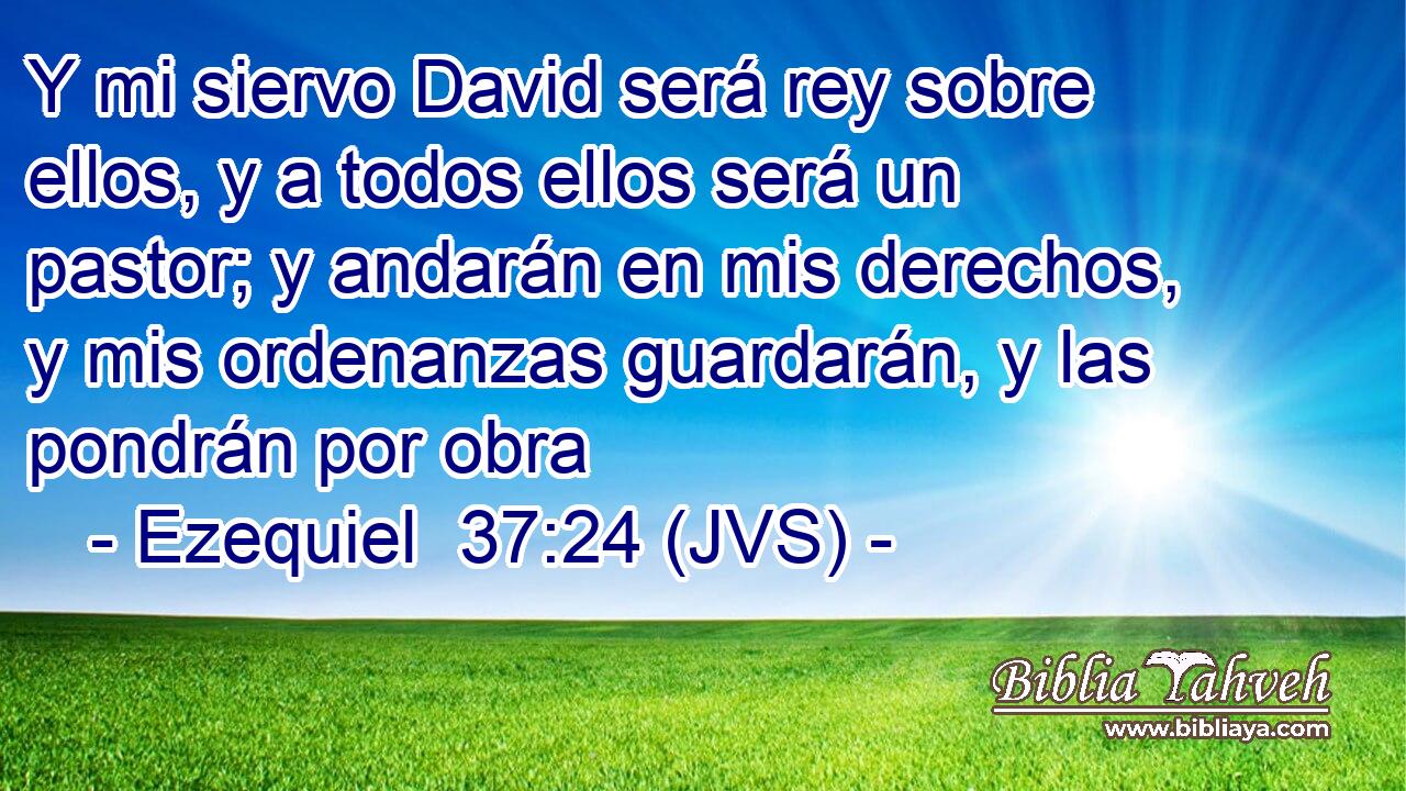 Y mi siervo David será rey sobre ellos, y a todos ellos será un pastor; y andarán en mis derechos, y mis ordenanzas guardarán, y las pondrán por obra