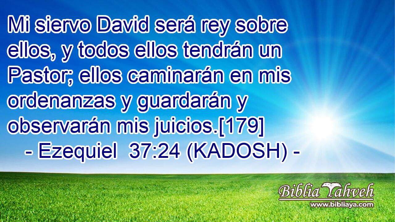  Mi siervo David será rey sobre ellos, y todos ellos tendrán un Pastor; ellos caminarán en mis ordenanzas y guardarán y observarán mis juicios.[179] 