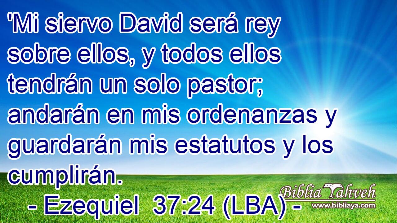 'Mi siervo David será rey sobre ellos, y todos ellos tendrán un solo pastor; andarán en mis ordenanzas y guardarán mis estatutos y los cumplirán.
