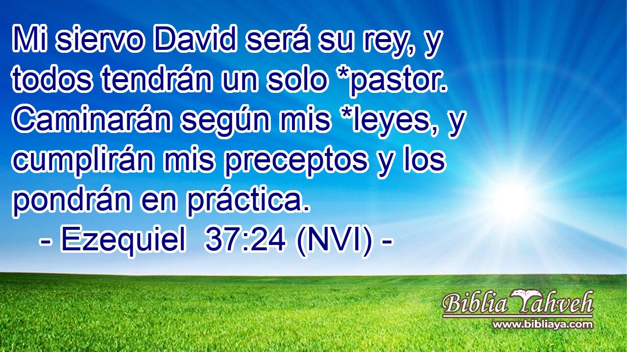  Mi siervo David será su rey, y todos tendrán un solo *pastor. Caminarán según mis *leyes, y cumplirán mis preceptos y los pondrán en práctica. 