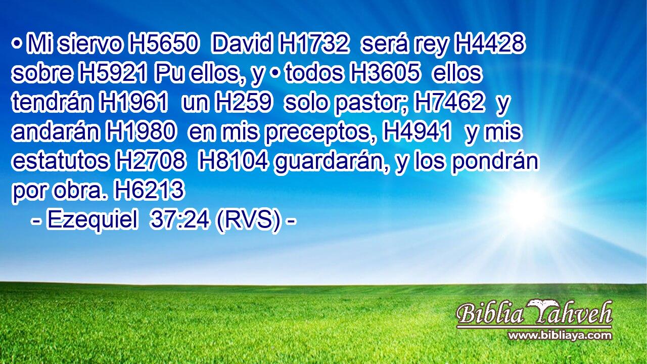 • Mi siervo H5650  David H1732  será rey H4428  sobre H5921 Pu ellos, y • todos H3605  ellos tendrán H1961  un H259  solo pastor; H7462  y andarán H1980  en mis preceptos, H4941  y mis estatutos H2708  H8104 guardarán, y los pondrán por obra. H6213  