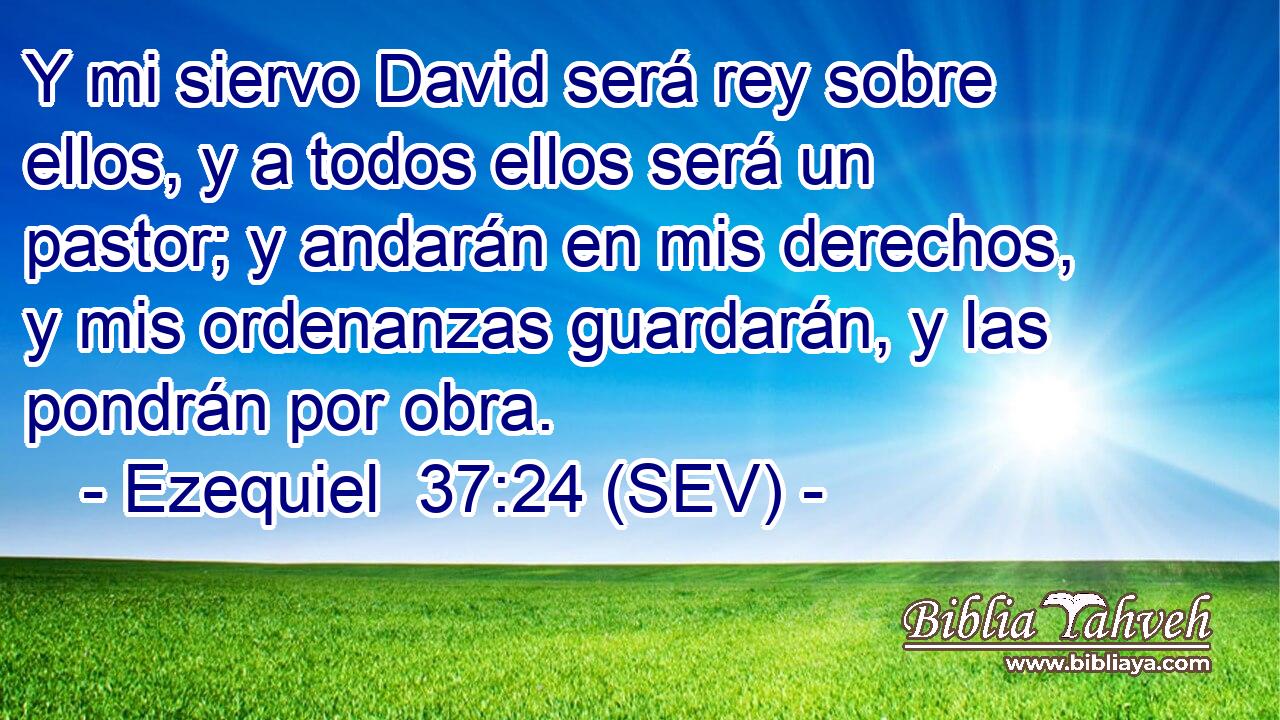 Y mi siervo David será rey sobre ellos, y a todos ellos será un pastor; y andarán en mis derechos, y mis ordenanzas guardarán, y las pondrán por obra.