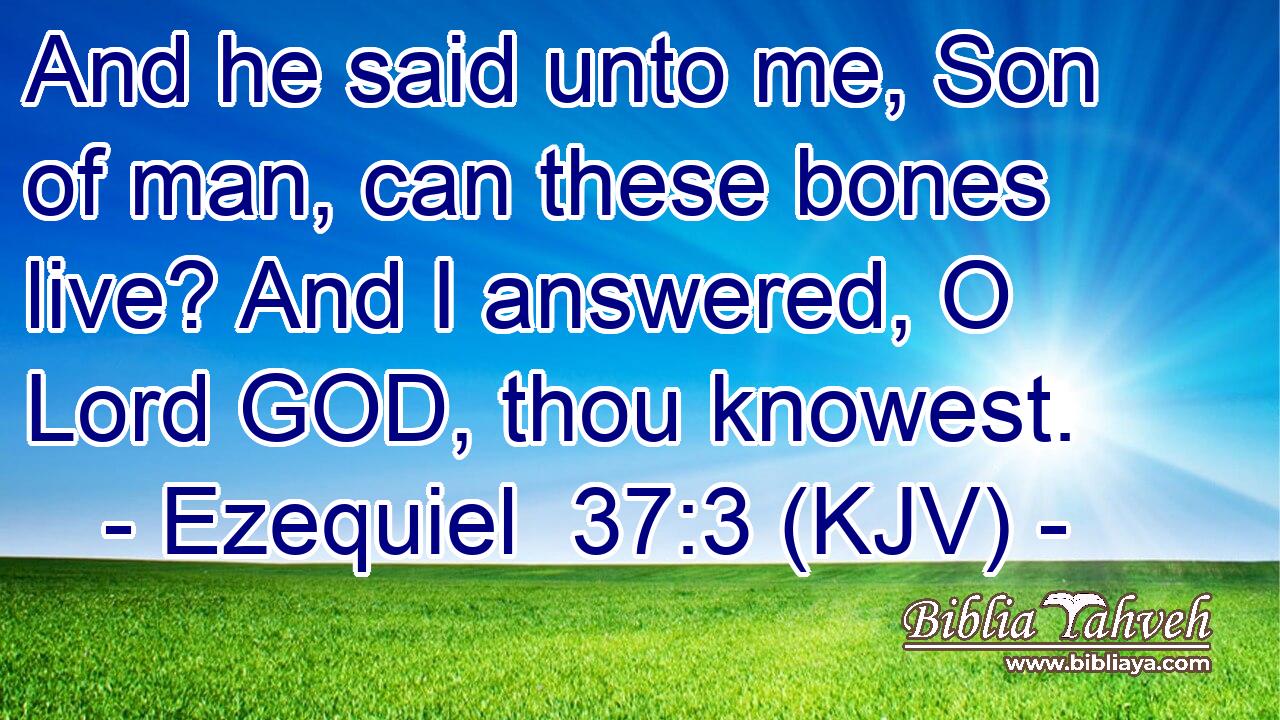 And he said unto me, Son of man, can these bones live? And I answered, O Lord GOD, thou knowest.