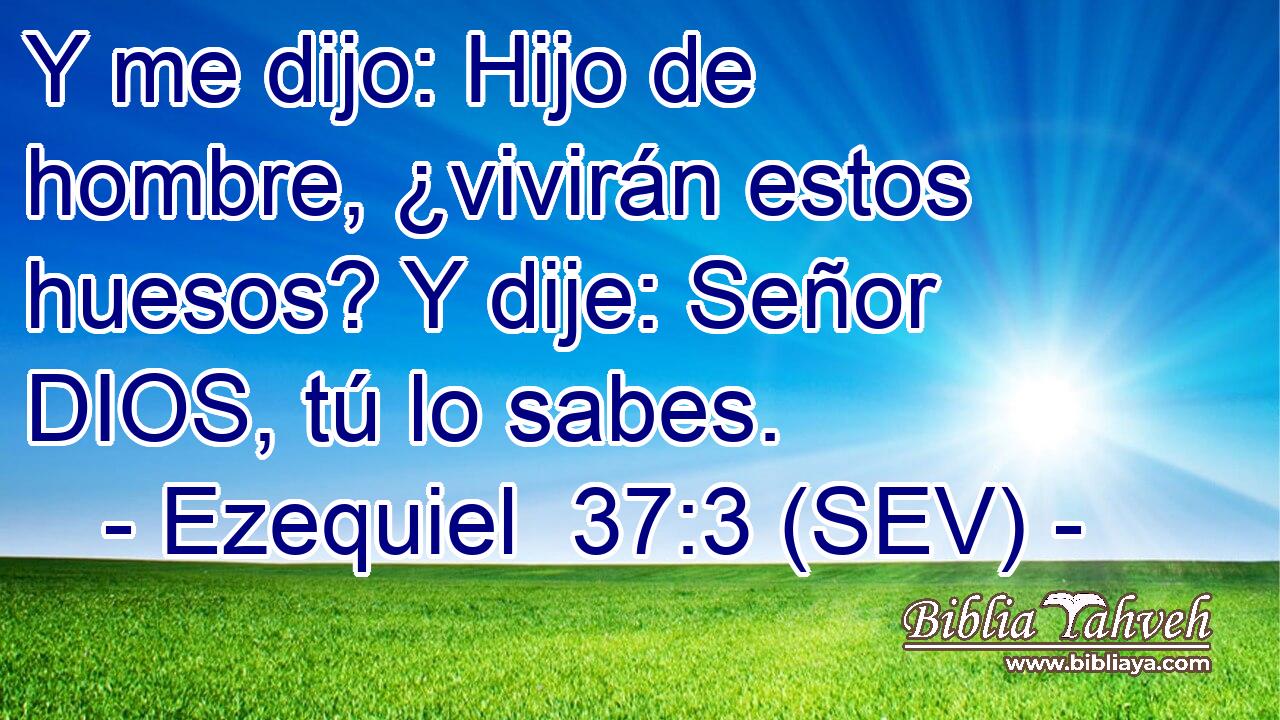 Y me dijo: Hijo de hombre, ¿vivirán estos huesos? Y dije: Señor DIOS, tú lo sabes.