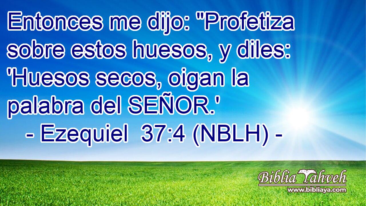  Entonces me dijo: 