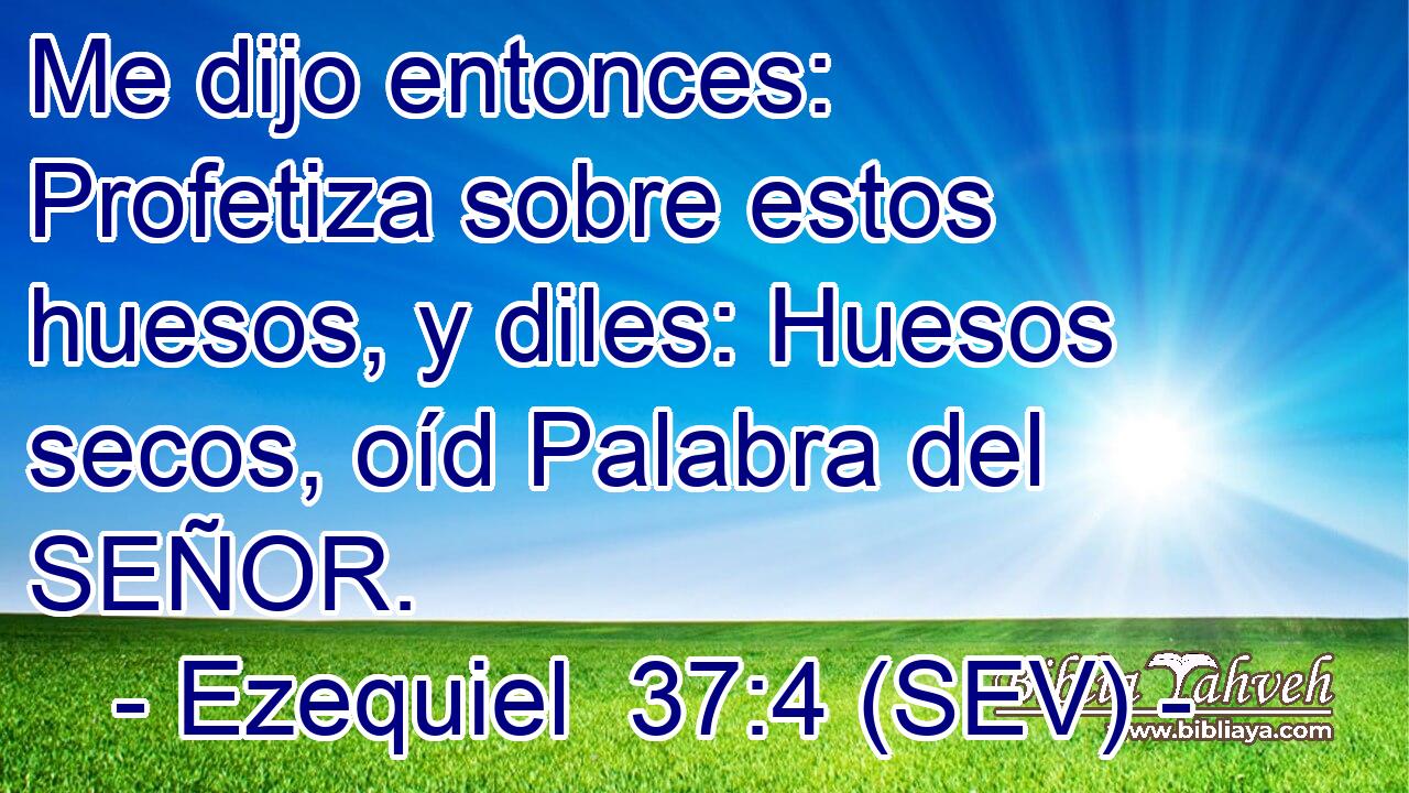 Me dijo entonces: Profetiza sobre estos huesos, y diles: Huesos secos, oíd Palabra del SEÑOR.