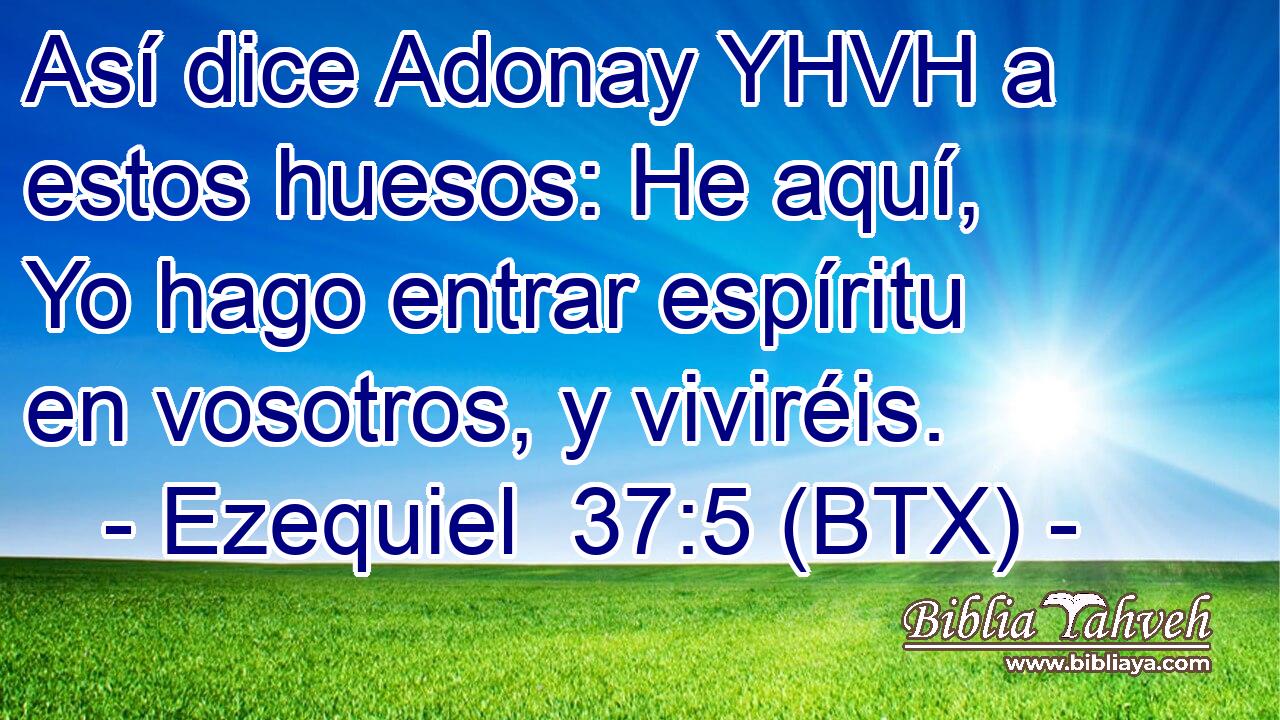 Así dice Adonay YHVH a estos huesos: He aquí, Yo hago entrar espíritu en vosotros, y viviréis.