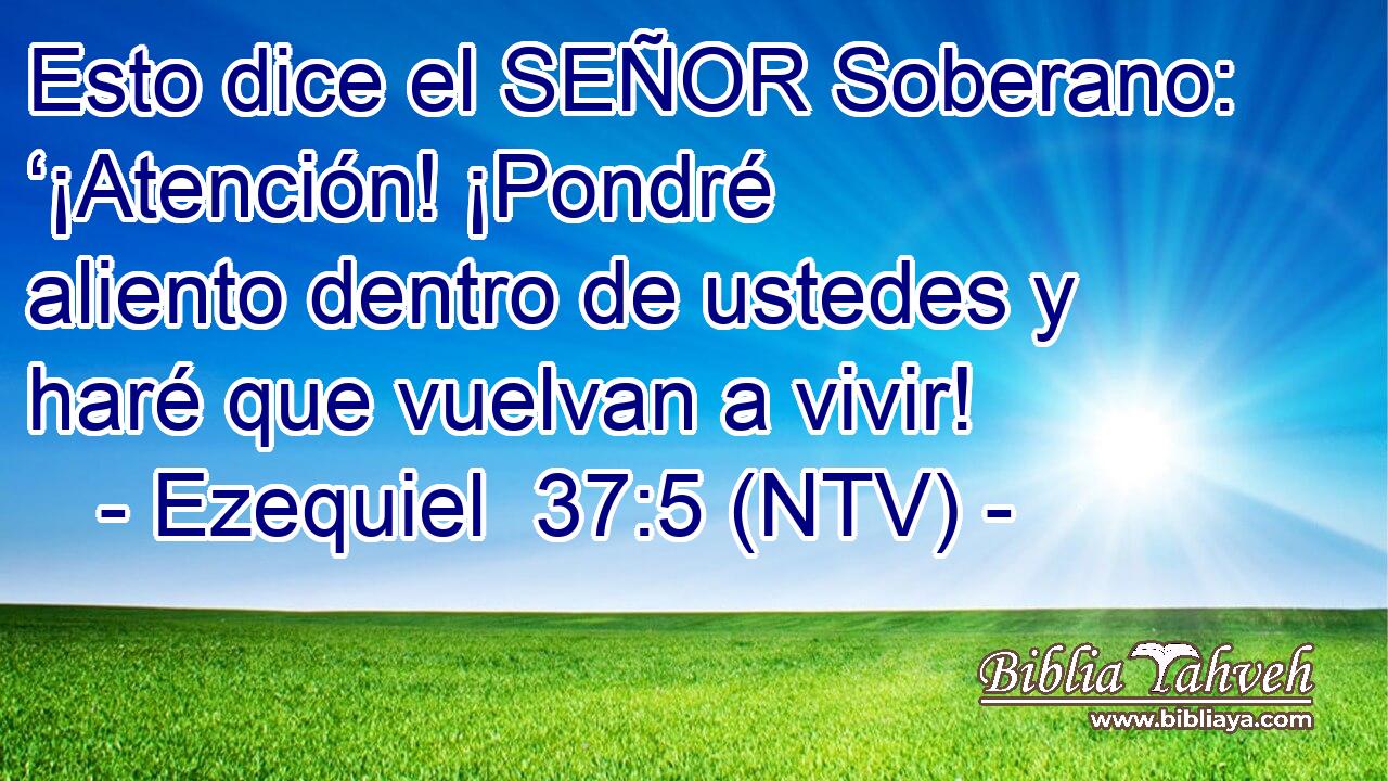 Esto dice el SEÑOR Soberano: ‘¡Atención! ¡Pondré aliento dentro de ustedes y haré que vuelvan a vivir!