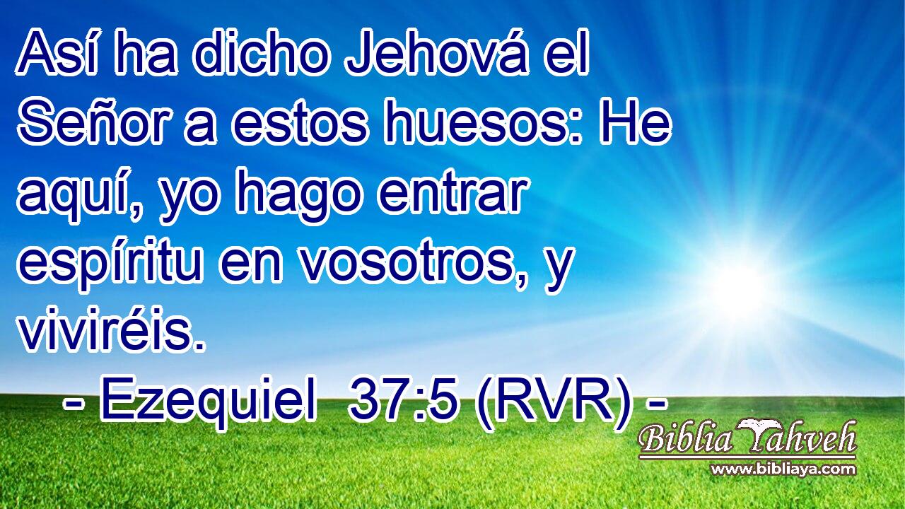 Así ha dicho Jehová el Señor a estos huesos: He aquí, yo hago entrar espíritu en vosotros, y viviréis.