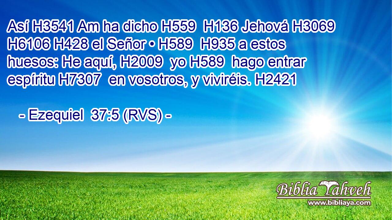 Así H3541 Am ha dicho H559  H136 Jehová H3069  H6106 H428 el Señor • H589  H935 a estos huesos: He aquí, H2009  yo H589  hago entrar espíritu H7307  en vosotros, y viviréis. H2421  