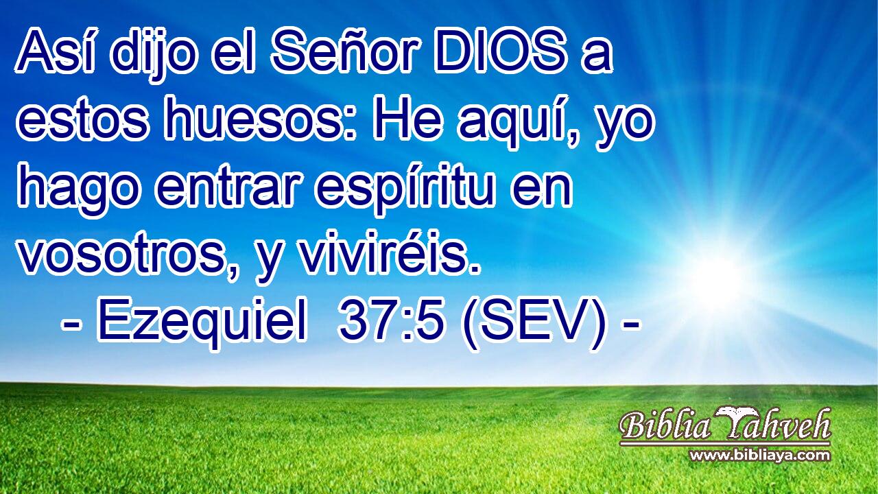 Así dijo el Señor DIOS a estos huesos: He aquí, yo hago entrar espíritu en vosotros, y viviréis.