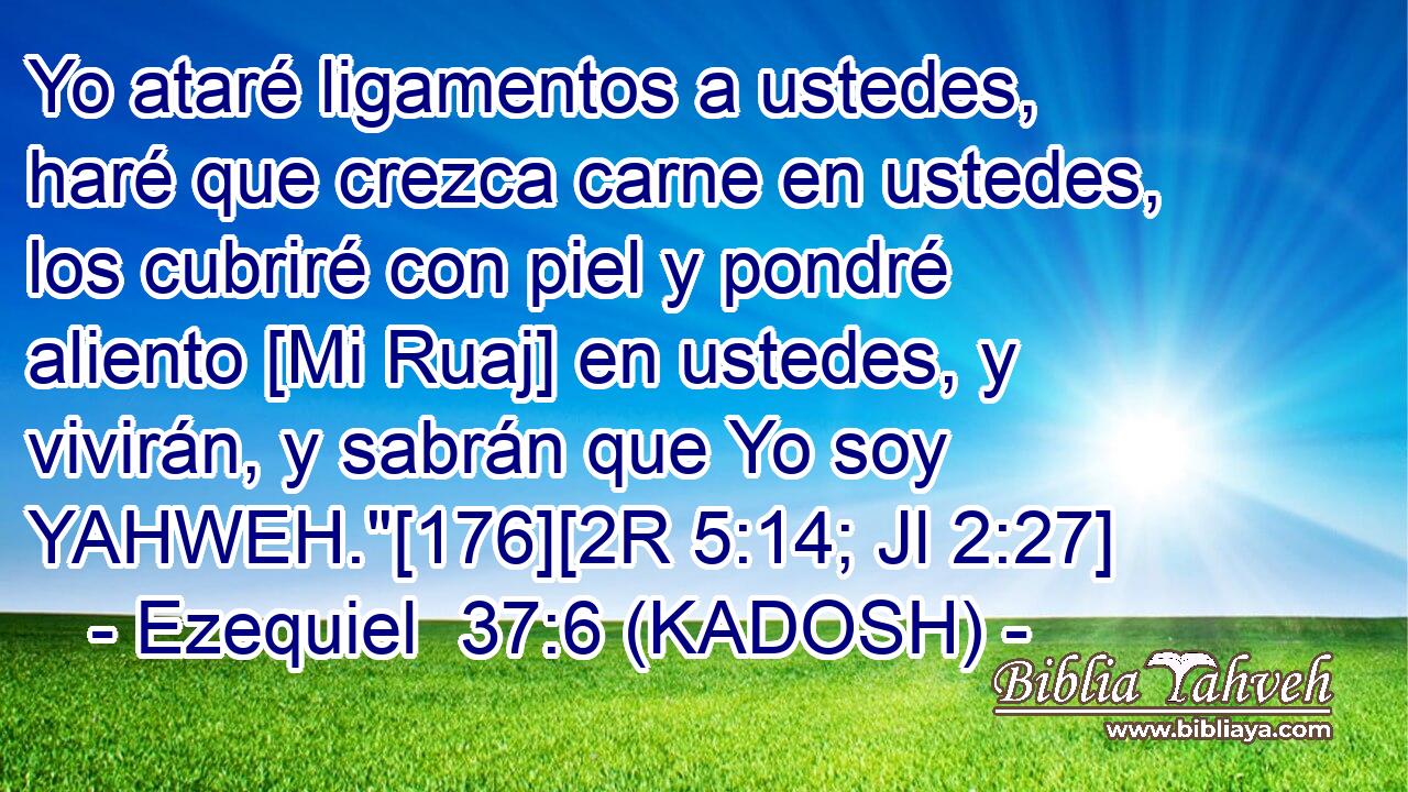  Yo ataré ligamentos a ustedes, haré que crezca carne en ustedes, los cubriré con piel y pondré aliento [Mi Ruaj] en ustedes, y vivirán, y sabrán que Yo soy YAHWEH.
