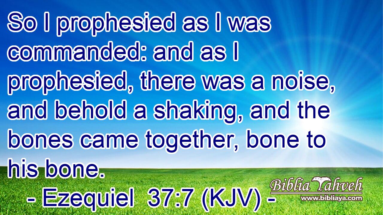 So I prophesied as I was commanded: and as I prophesied, there was a noise, and behold a shaking, and the bones came together, bone to his bone.