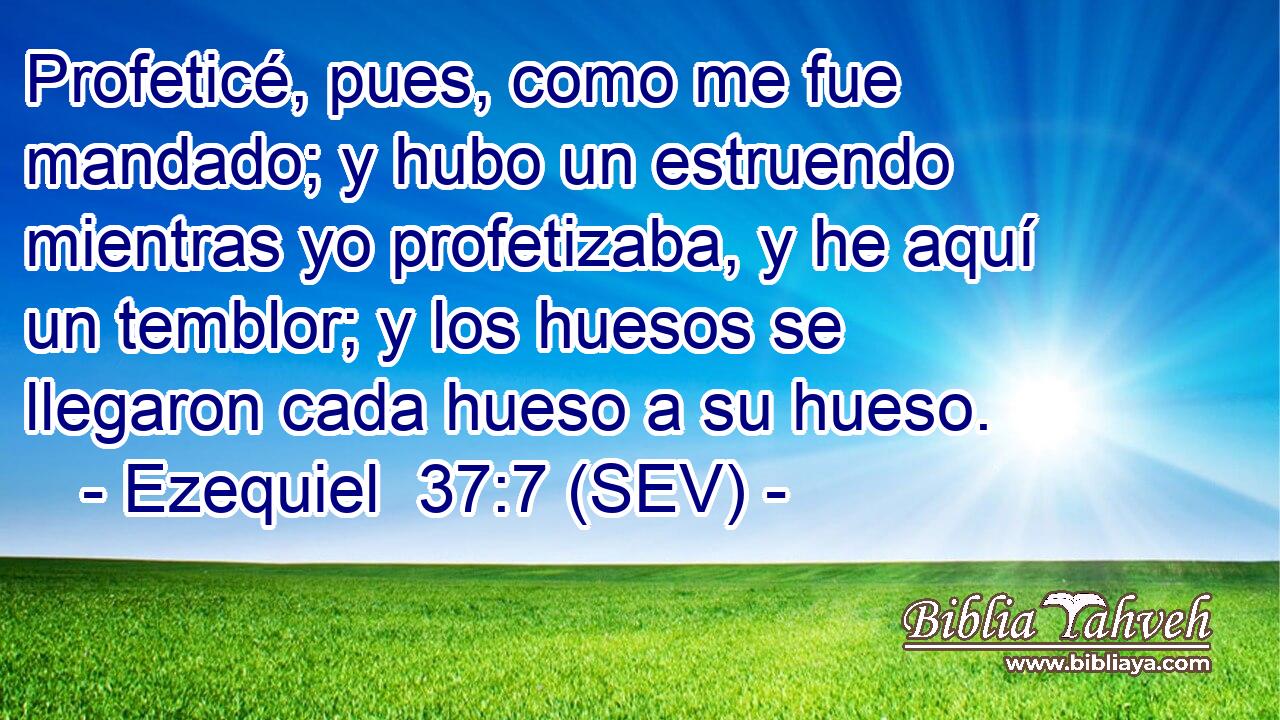 Profeticé, pues, como me fue mandado; y hubo un estruendo mientras yo profetizaba, y he aquí un temblor; y los huesos se llegaron cada hueso a su hueso.