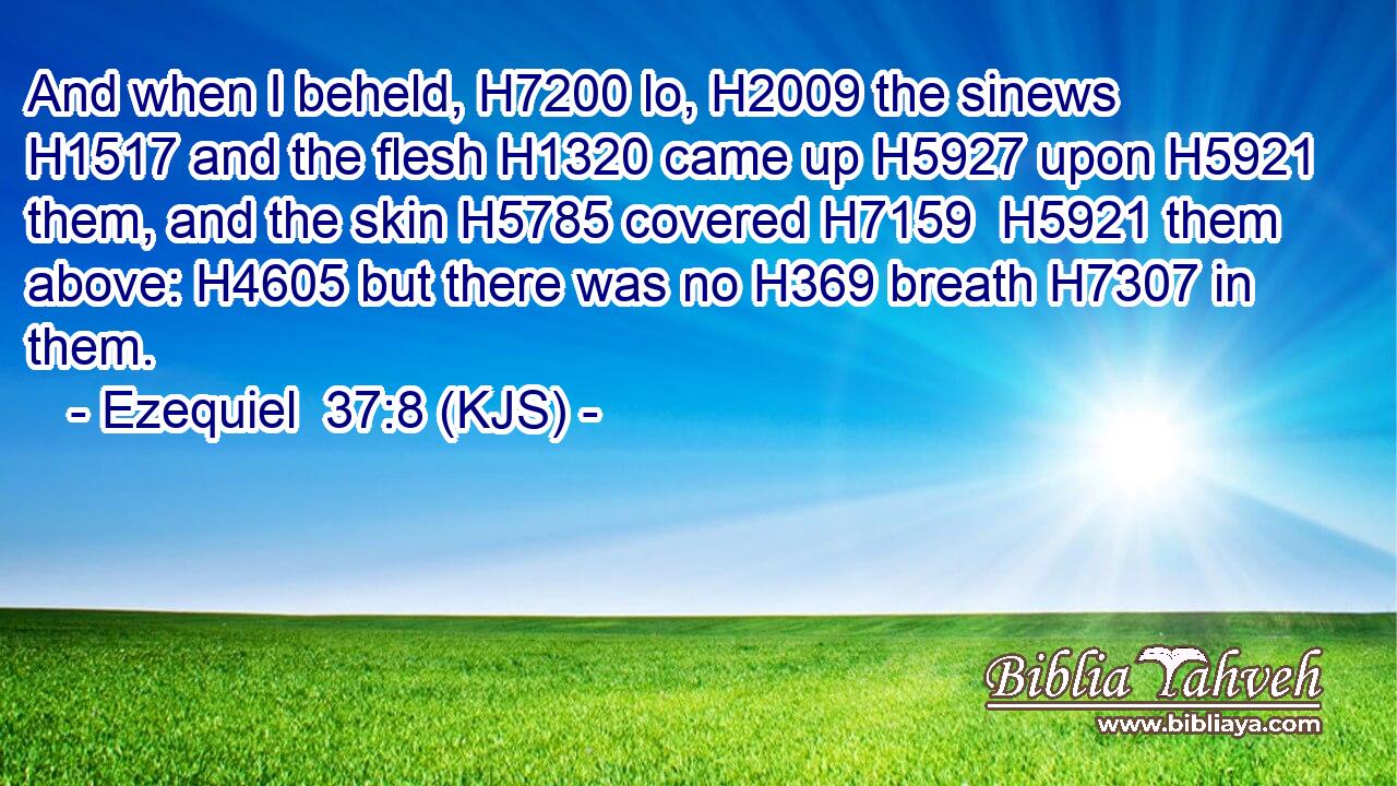 And when I beheld, H7200 lo, H2009 the sinews H1517 and the flesh H1320 came up H5927 upon H5921 them, and the skin H5785 covered H7159  H5921 them above: H4605 but there was no H369 breath H7307 in them.