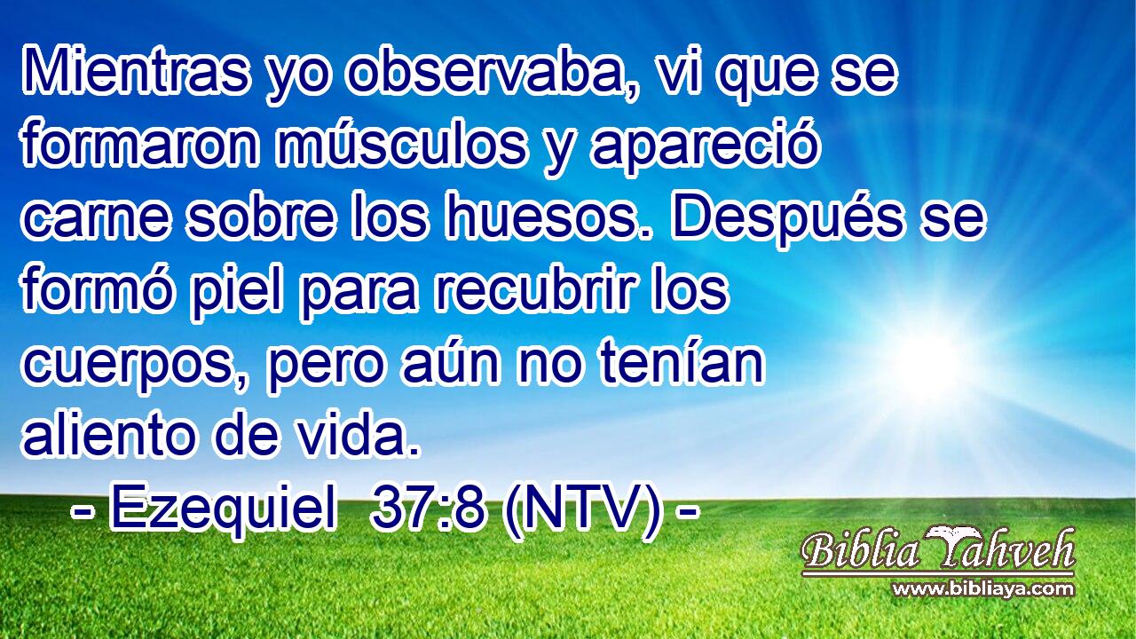 Mientras yo observaba, vi que se formaron músculos y apareció carne sobre los huesos. Después se formó piel para recubrir los cuerpos, pero aún no tenían aliento de vida.