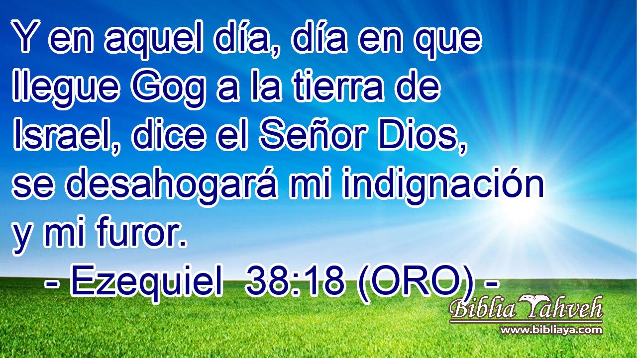  Y en aquel día, día en que llegue Gog a la tierra de Israel, dice el Señor Dios, se desahogará mi indignación y mi furor. 