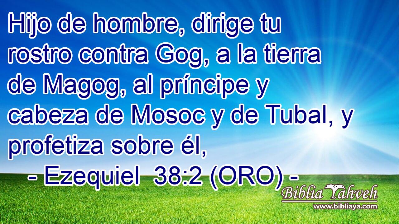  Hijo de hombre, dirige tu rostro contra Gog, a la tierra de Magog, al príncipe y cabeza de Mosoc y de Tubal, y profetiza sobre él, 