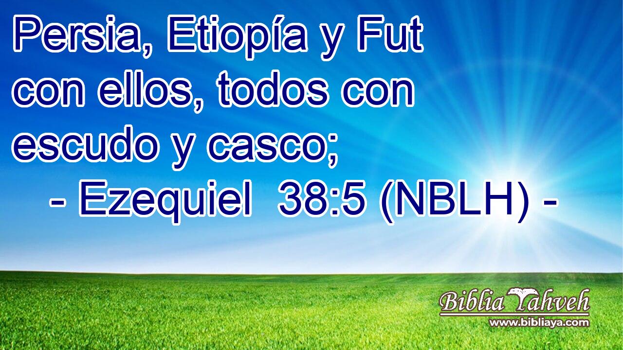  Persia, Etiopía y Fut con ellos, todos con escudo y casco; 