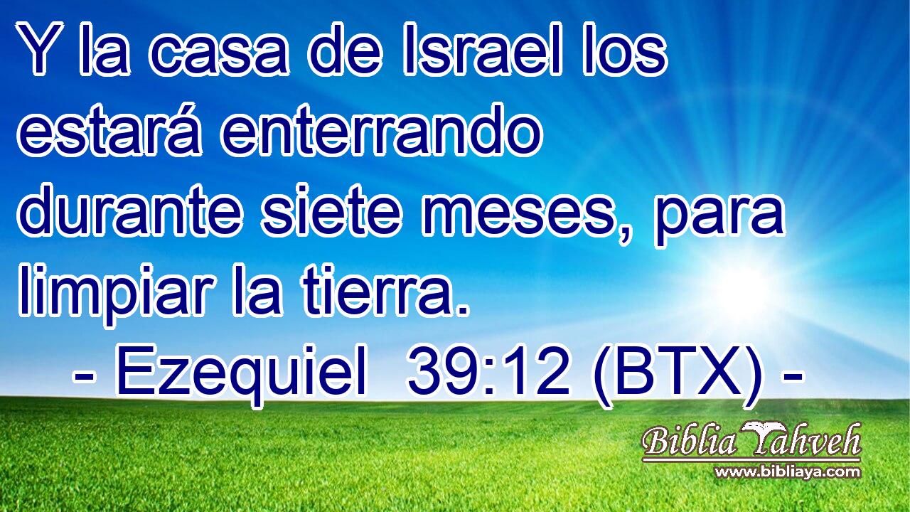 Y la casa de Israel los estará enterrando durante siete meses, para limpiar la tierra.