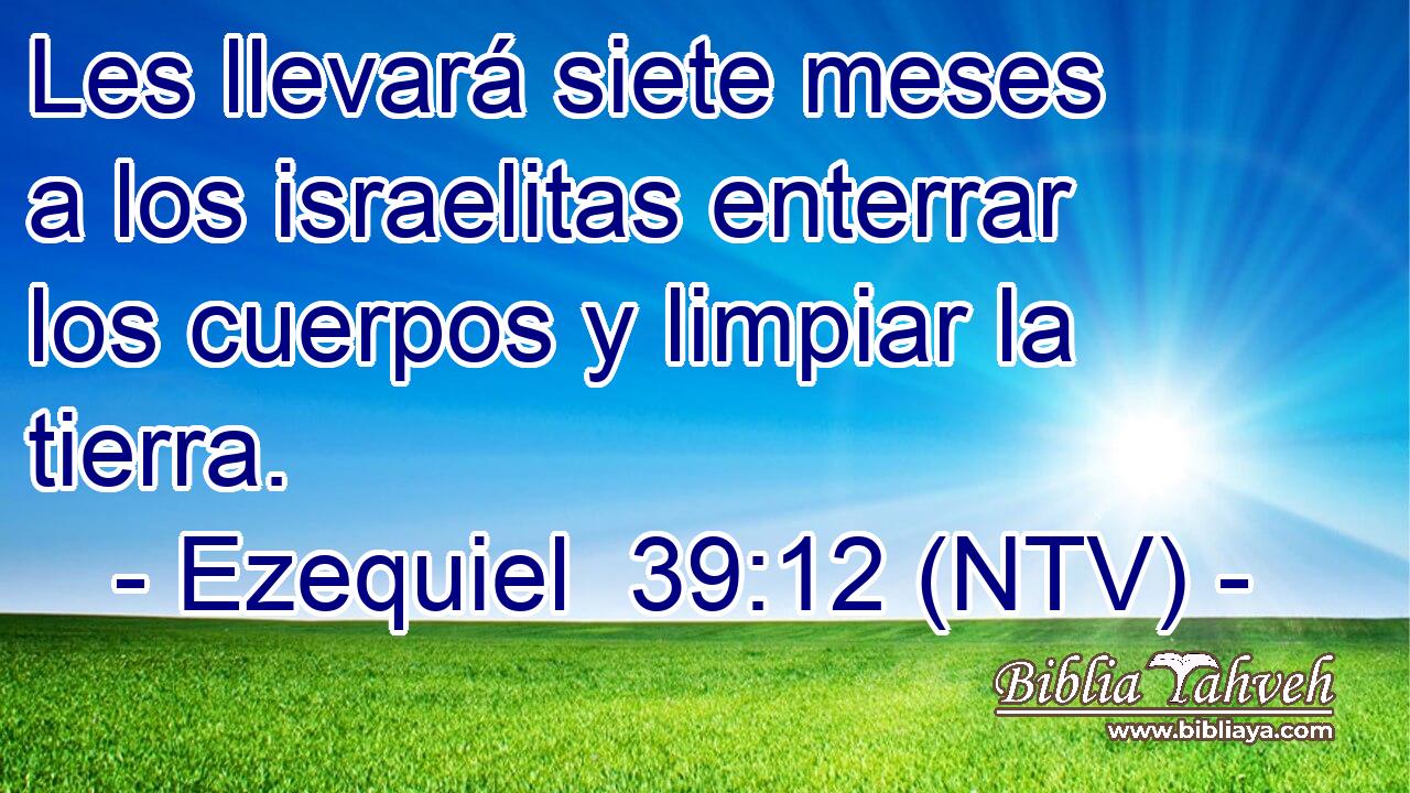 Les llevará siete meses a los israelitas enterrar los cuerpos y limpiar la tierra.