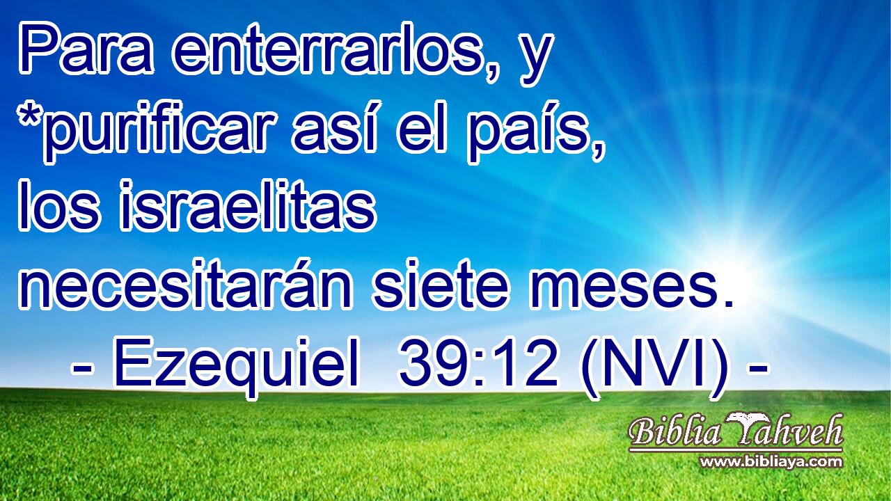  Para enterrarlos, y *purificar así el país, los israelitas necesitarán siete meses. 