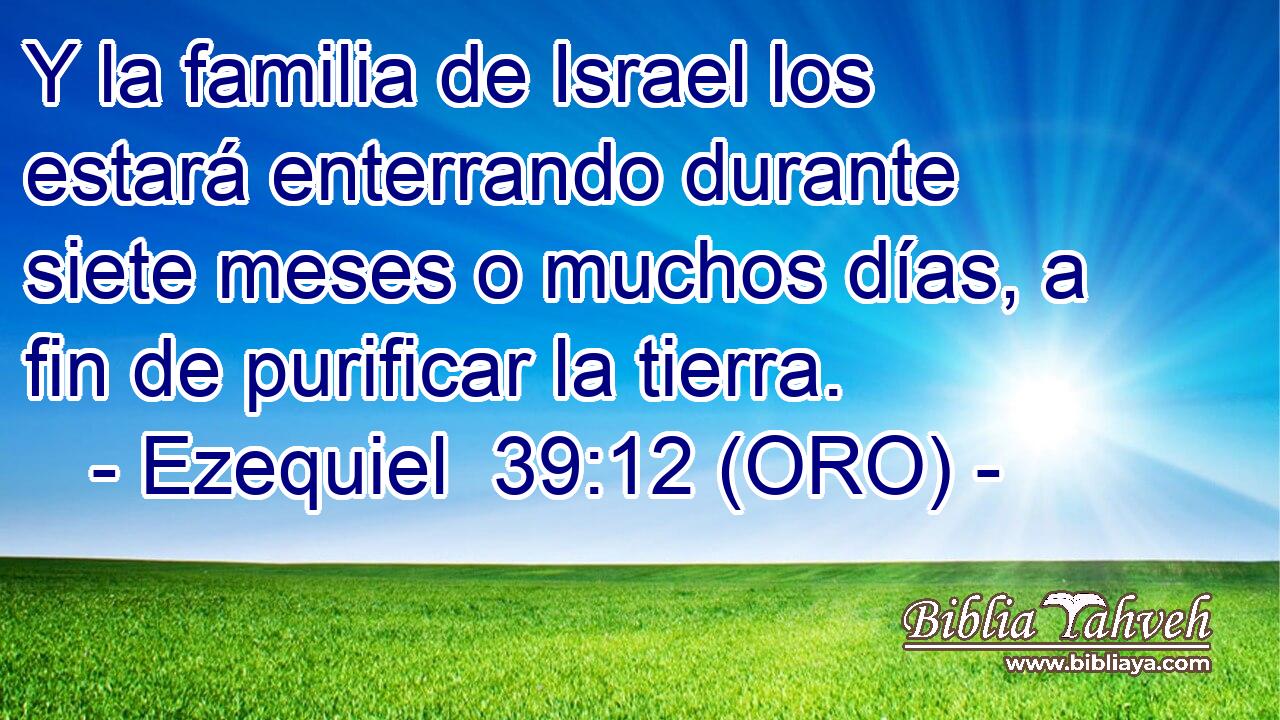  Y la familia de Israel los estará enterrando durante siete meses o muchos días, a fin de purificar la tierra. 
