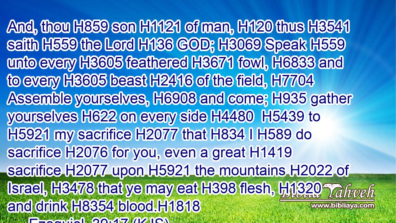 And, thou H859 son H1121 of man, H120 thus H3541 saith H559 the Lord H136 GOD; H3069 Speak H559 unto every H3605 feathered H3671 fowl, H6833 and to every H3605 beast H2416 of the field, H7704 Assemble yourselves, H6908 and come; H935 gather yourselves H622 on every side H4480  H5439 to H5921 my sacrifice H2077 that H834 I H589 do sacrifice H2076 for you, even a great H1419 sacrifice H2077 upon H5921 the mountains H2022 of Israel, H3478 that ye may eat H398 flesh, H1320 and drink H8354 blood.H1818