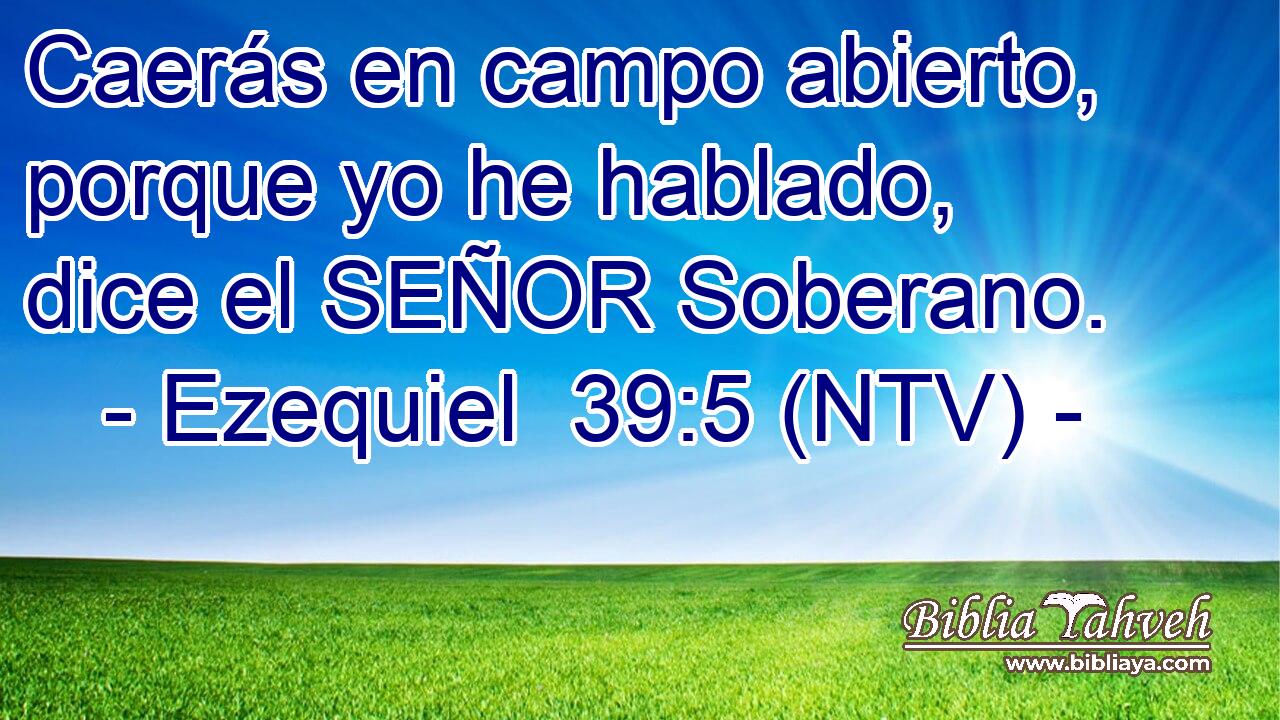 Caerás en campo abierto, porque yo he hablado, dice el SEÑOR Soberano.