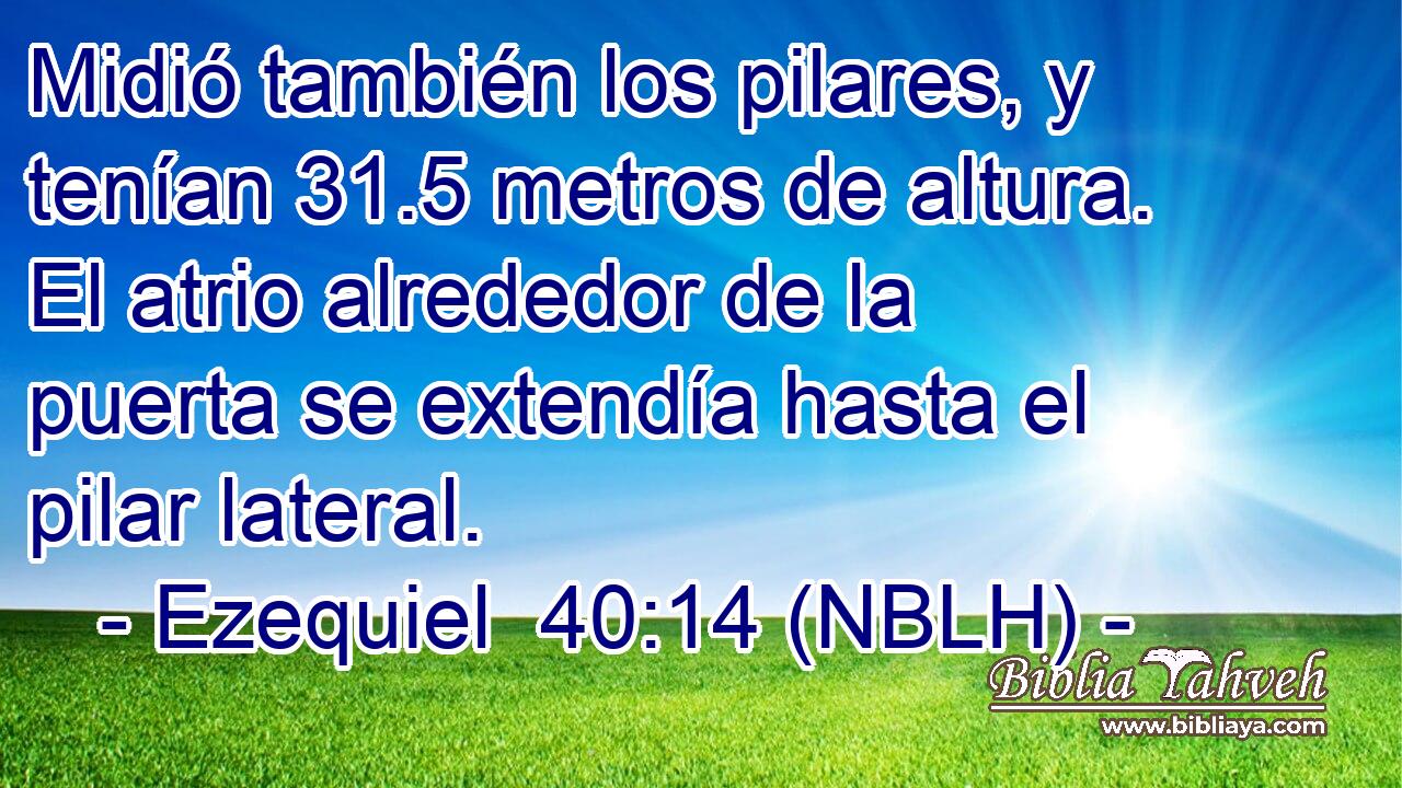  Midió también los pilares, y tenían 31.5 metros de altura. El atrio alrededor de la puerta se extendía hasta el pilar lateral. 