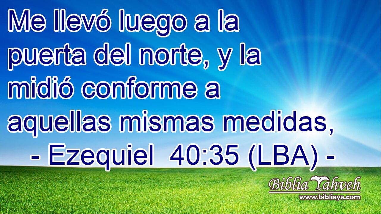 Me llevó luego a la puerta del norte, y la midió conforme a aquellas mismas medidas,