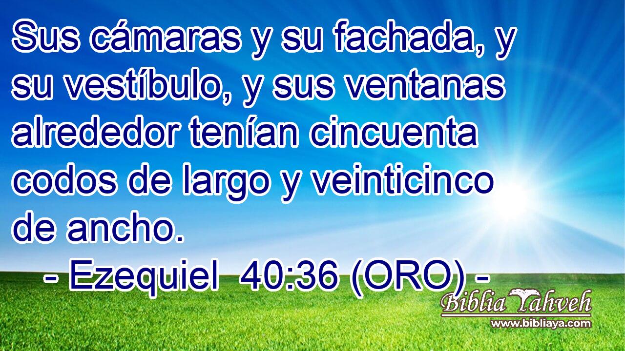  Sus cámaras y su fachada, y su vestíbulo, y sus ventanas alrededor tenían cincuenta codos de largo y veinticinco de ancho. 