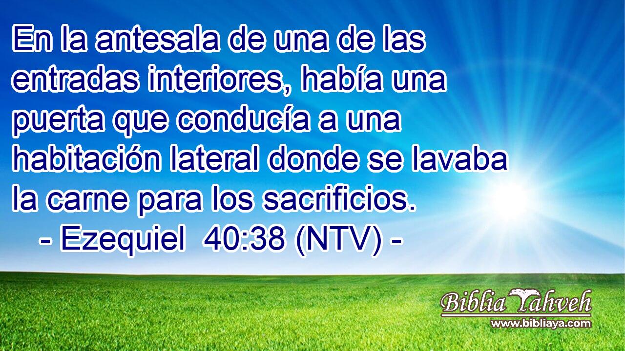 En la antesala de una de las entradas interiores, había una puerta que conducía a una habitación lateral donde se lavaba la carne para los sacrificios.