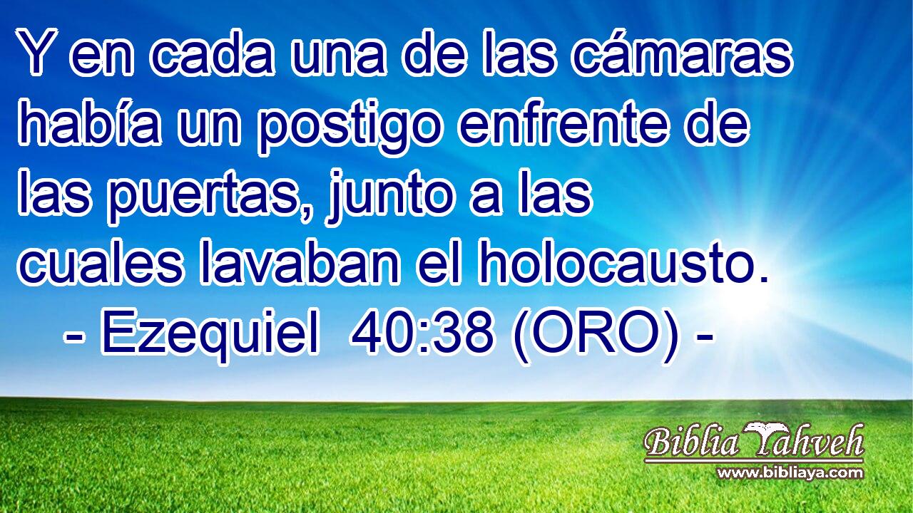  Y en cada una de las cámaras había un postigo enfrente de las puertas, junto a las cuales lavaban el holocausto. 