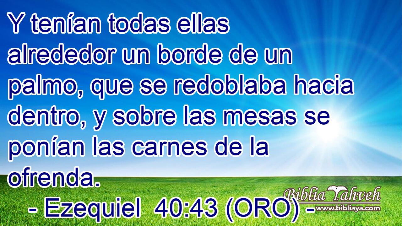  Y tenían todas ellas alrededor un borde de un palmo, que se redoblaba hacia dentro, y sobre las mesas se ponían las carnes de la ofrenda. 
