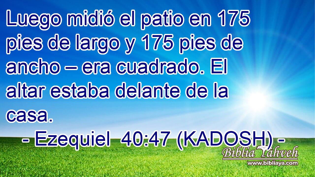  Luego midió el patio en 175 pies de largo y 175 pies de ancho – era cuadrado. El altar estaba delante de la casa. 