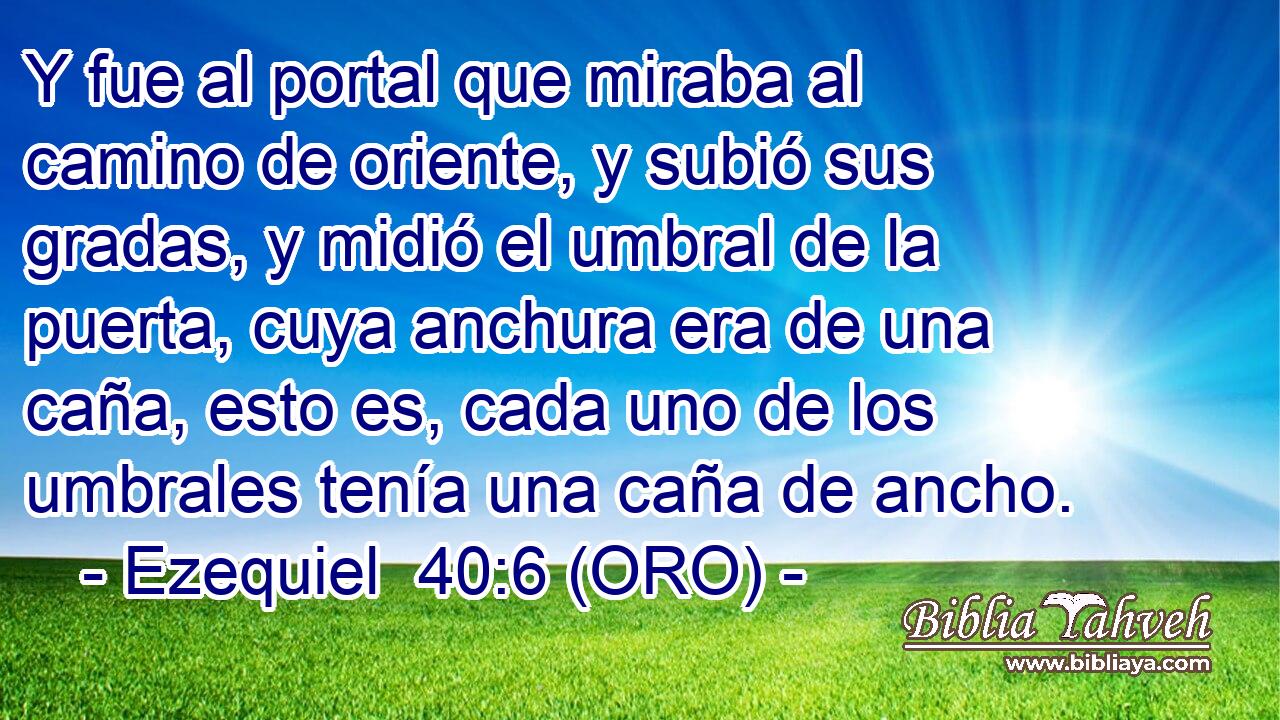  Y fue al portal que miraba al camino de oriente, y subió sus gradas, y midió el umbral de la puerta, cuya anchura era de una caña, esto es, cada uno de los umbrales tenía una caña de ancho. 