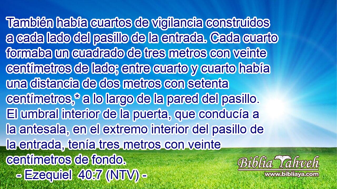 También había cuartos de vigilancia construidos a cada lado del pasillo de la entrada. Cada cuarto formaba un cuadrado de tres metros con veinte centímetros de lado; entre cuarto y cuarto había una distancia de dos metros con setenta centímetros,* a lo largo de la pared del pasillo. El umbral interior de la puerta, que conducía a la antesala, en el extremo interior del pasillo de la entrada, tenía tres metros con veinte centímetros de fondo.