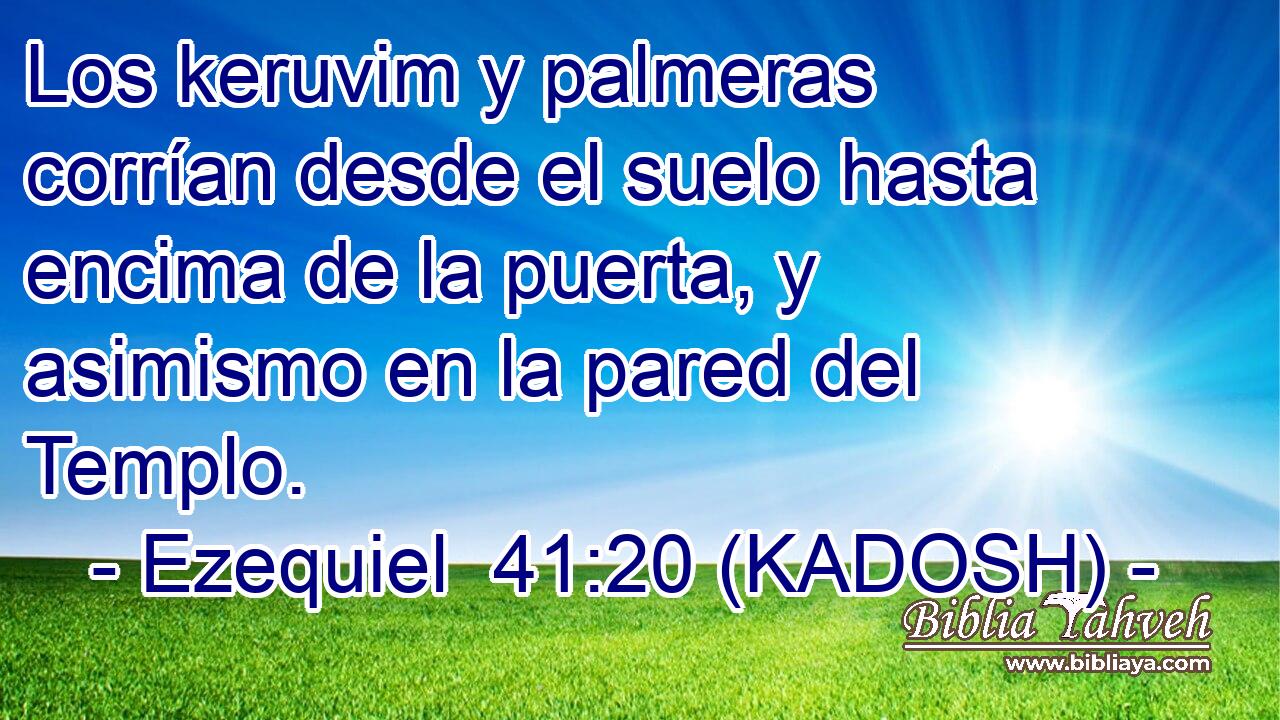  Los keruvim y palmeras corrían desde el suelo hasta encima de la puerta, y asimismo en la pared del Templo. 