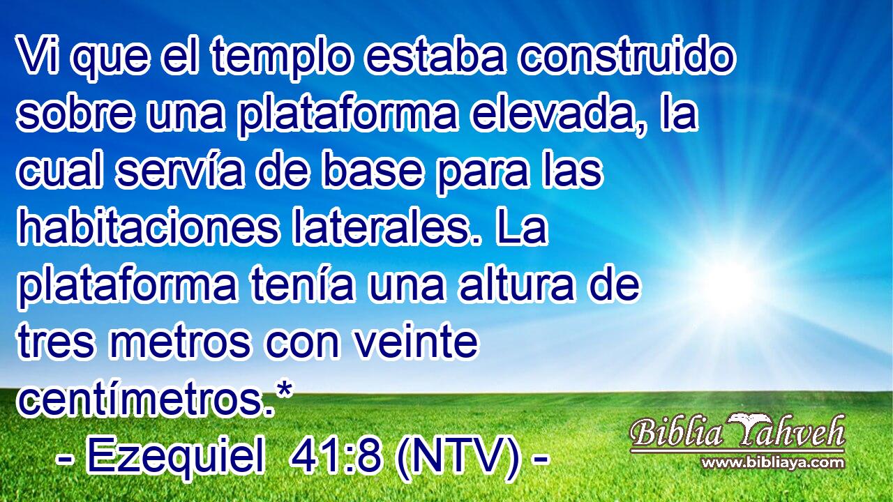 Vi que el templo estaba construido sobre una plataforma elevada, la cual servía de base para las habitaciones laterales. La plataforma tenía una altura de tres metros con veinte centímetros.*